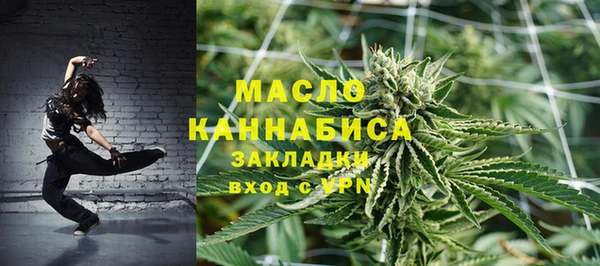 гашик Козловка
