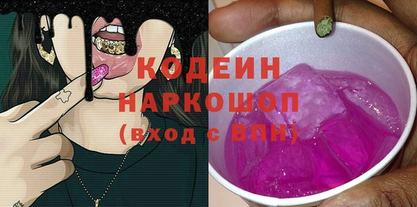 гашик Козловка