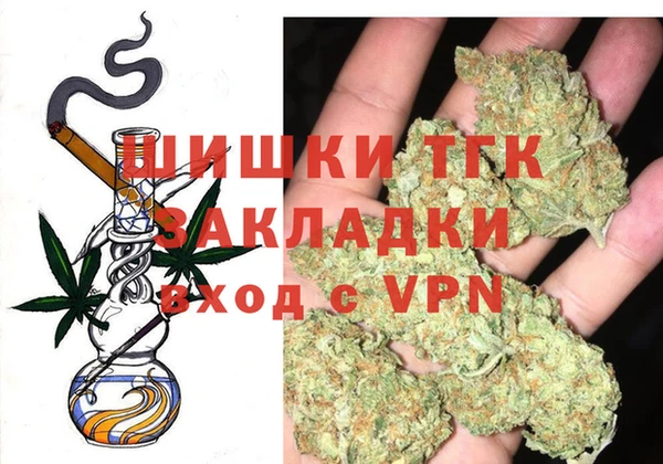 гашик Козловка