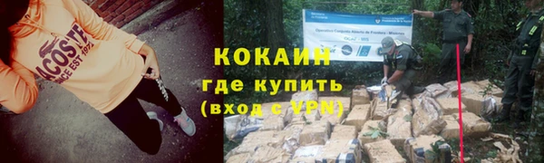 гашик Козловка