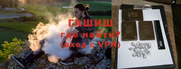 гашик Козловка