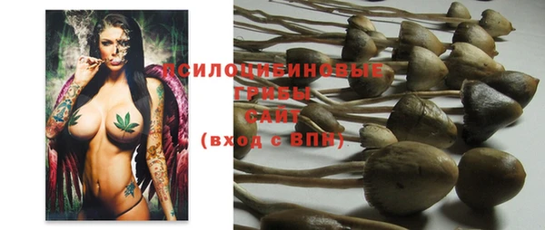 ПСИЛОЦИБИНОВЫЕ ГРИБЫ Кодинск