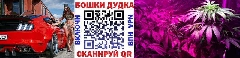 Шишки марихуана White Widow  Купино 